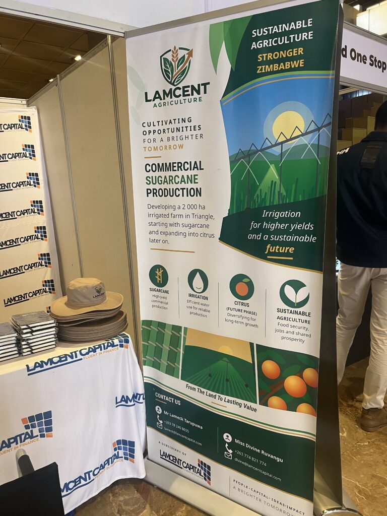 Branded pull-up display produced by JomeTech